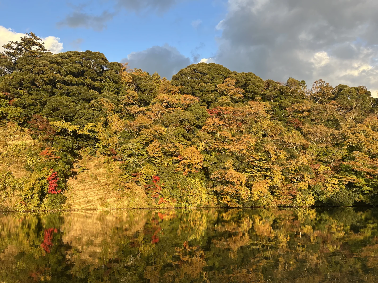 湖面に映る逆さ紅葉