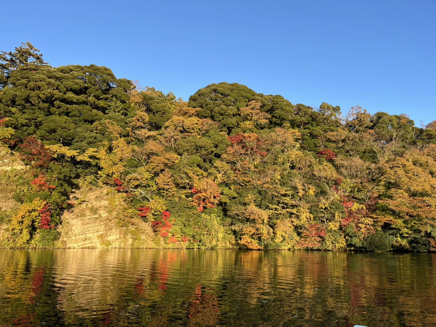 亀山湖 紅葉狩りクルーズ