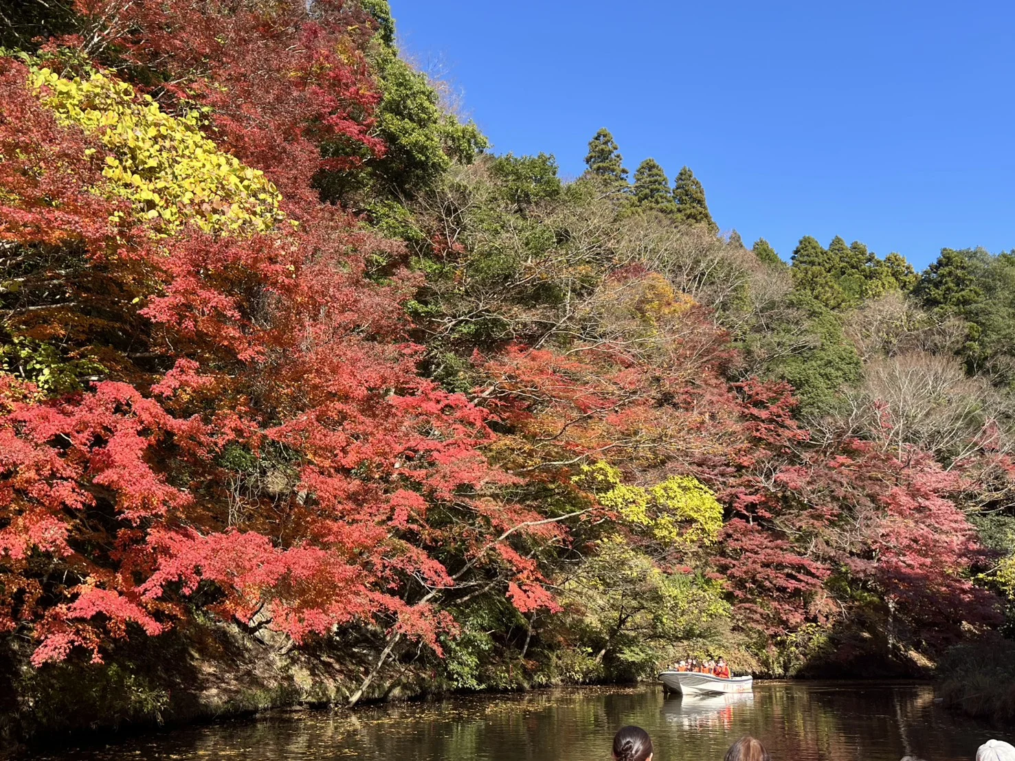 亀山湖 紅葉狩りクルーズ