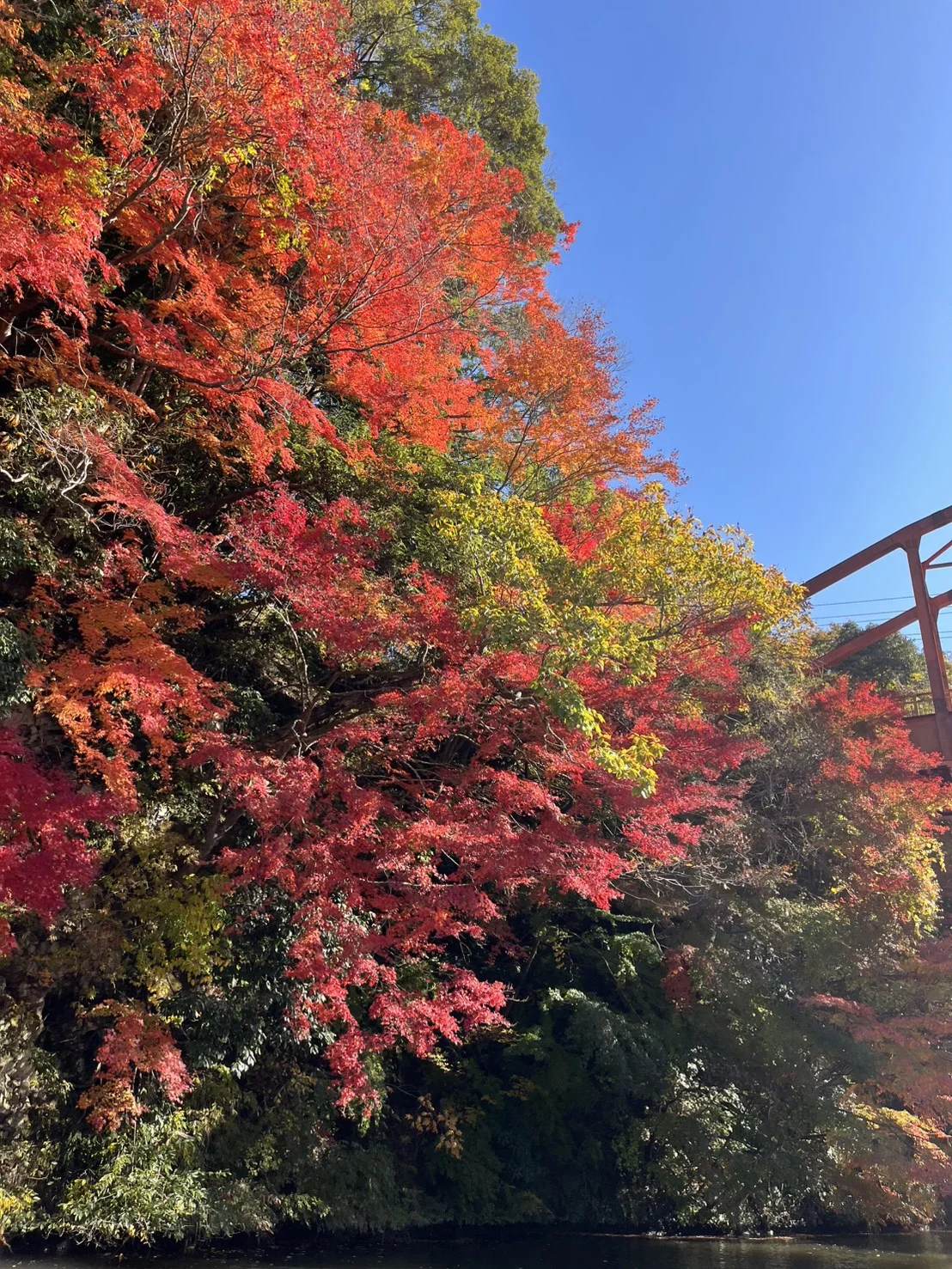 亀山湖 紅葉狩りクルーズ