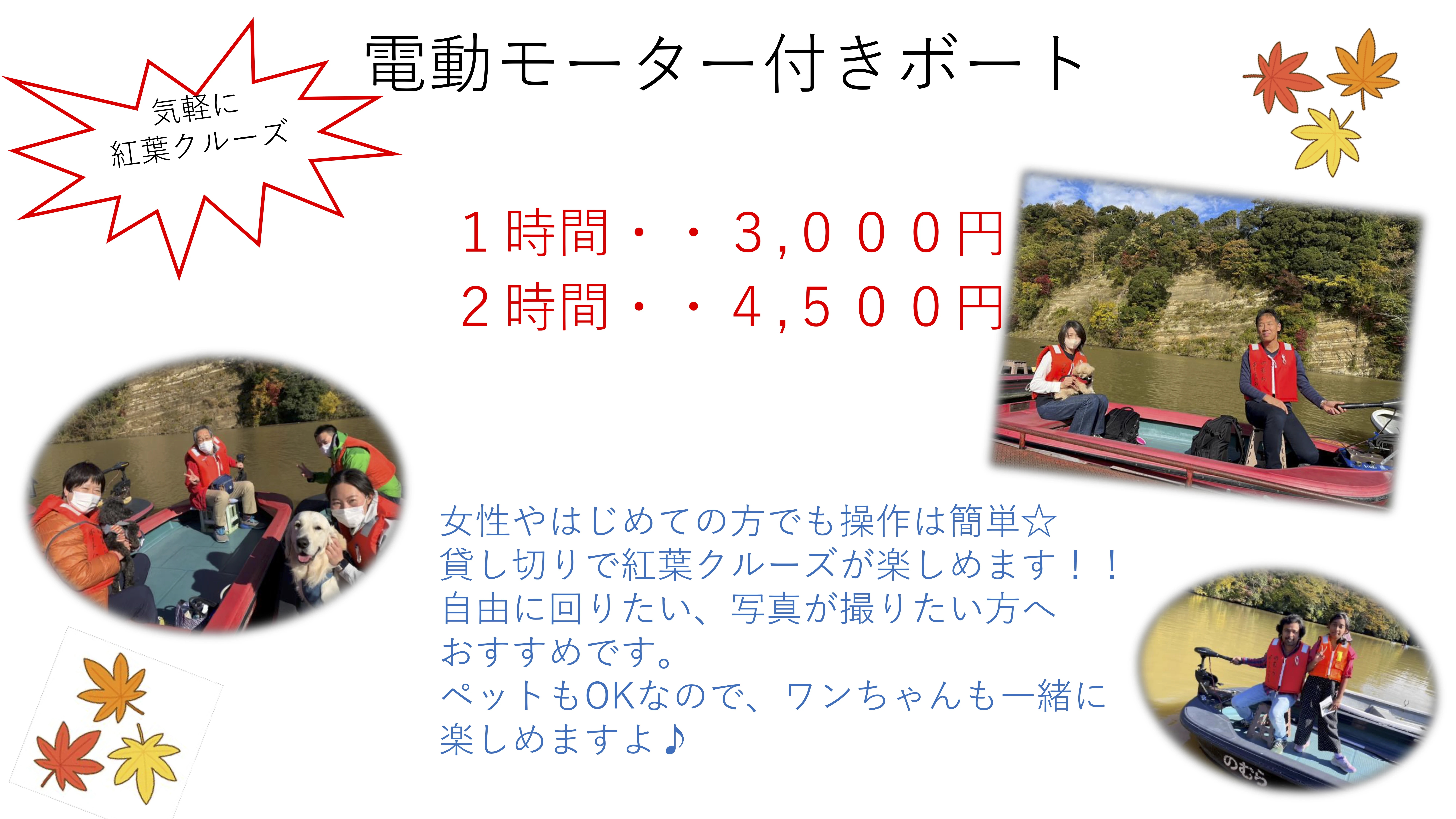 電動ボートチラシ