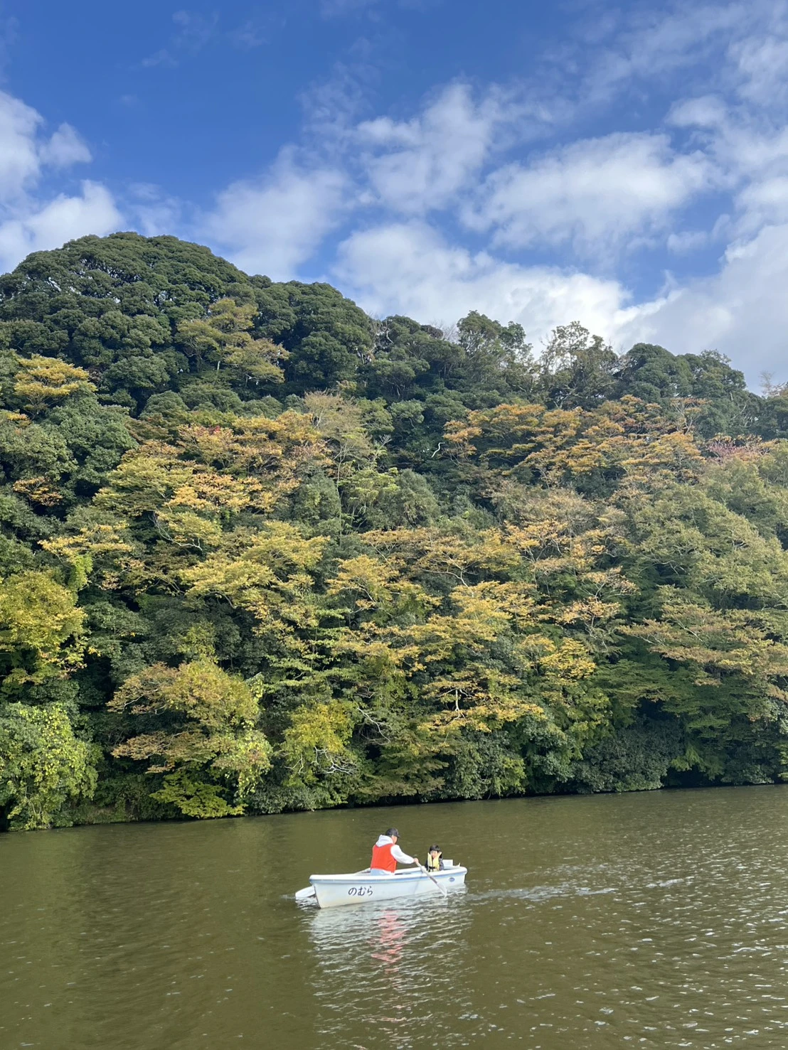 ペット同伴可能なレンタルボート