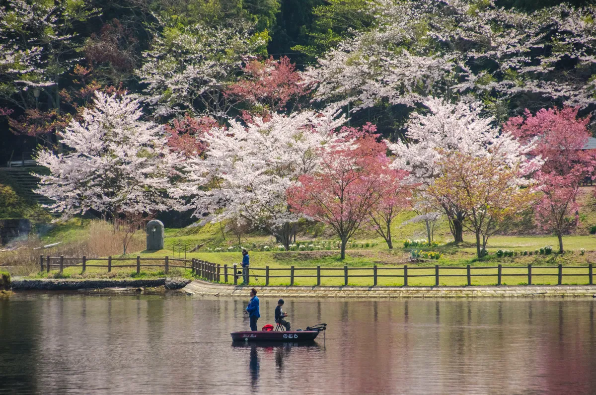 観光・遊覧ボート