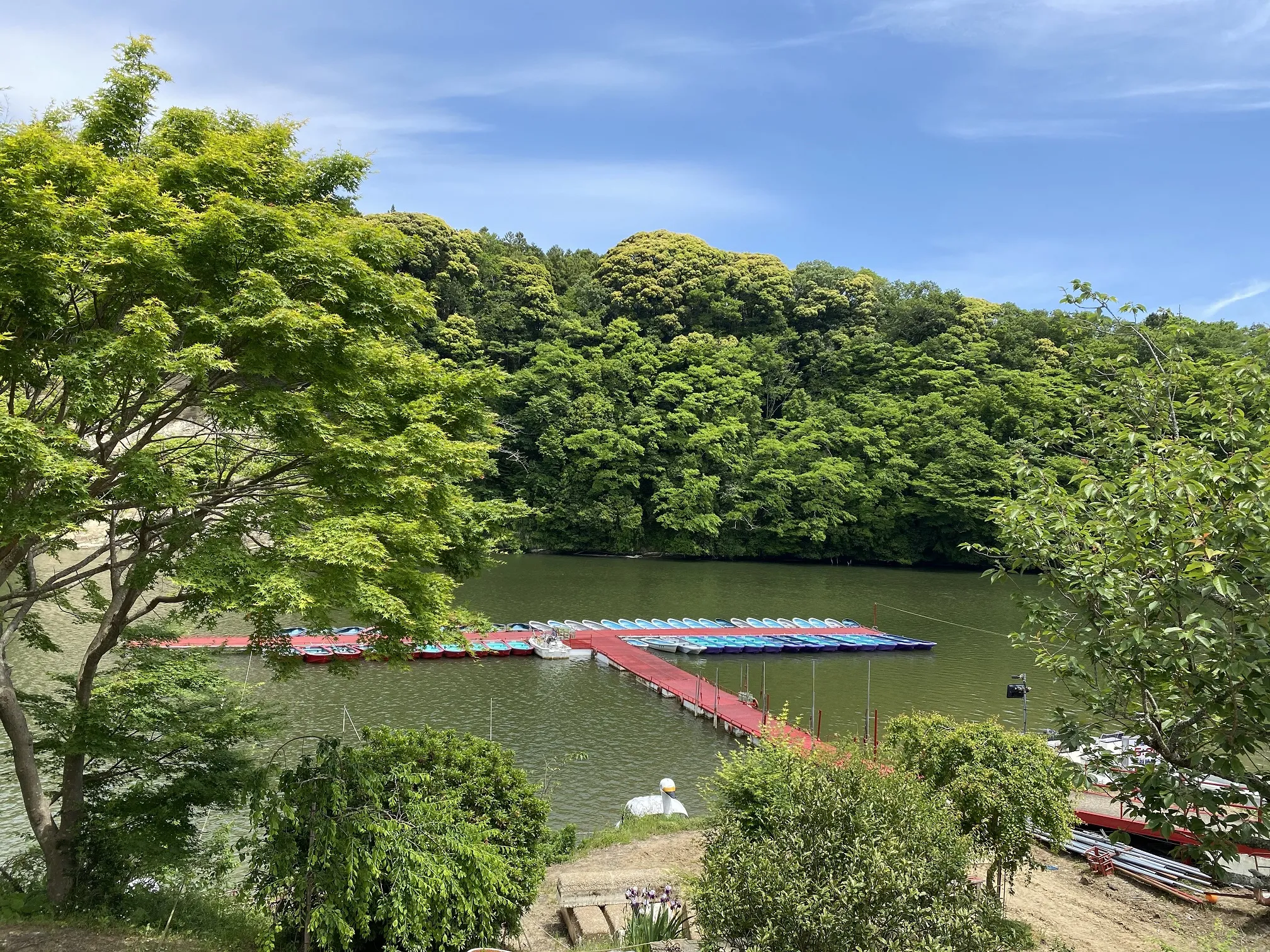 観光・遊覧ボート