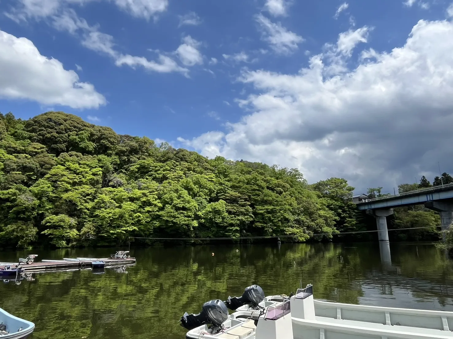 観光・遊覧ボート