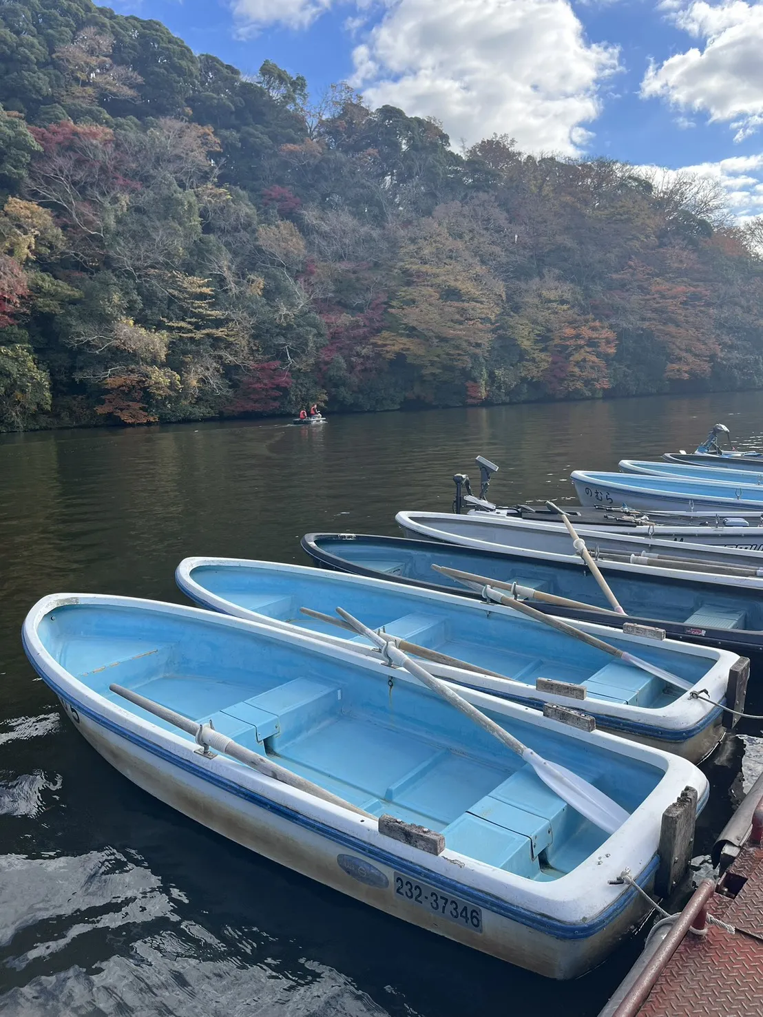 観光・遊覧ボート