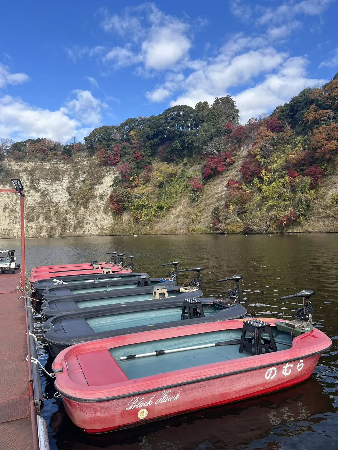 観光・遊覧ボート