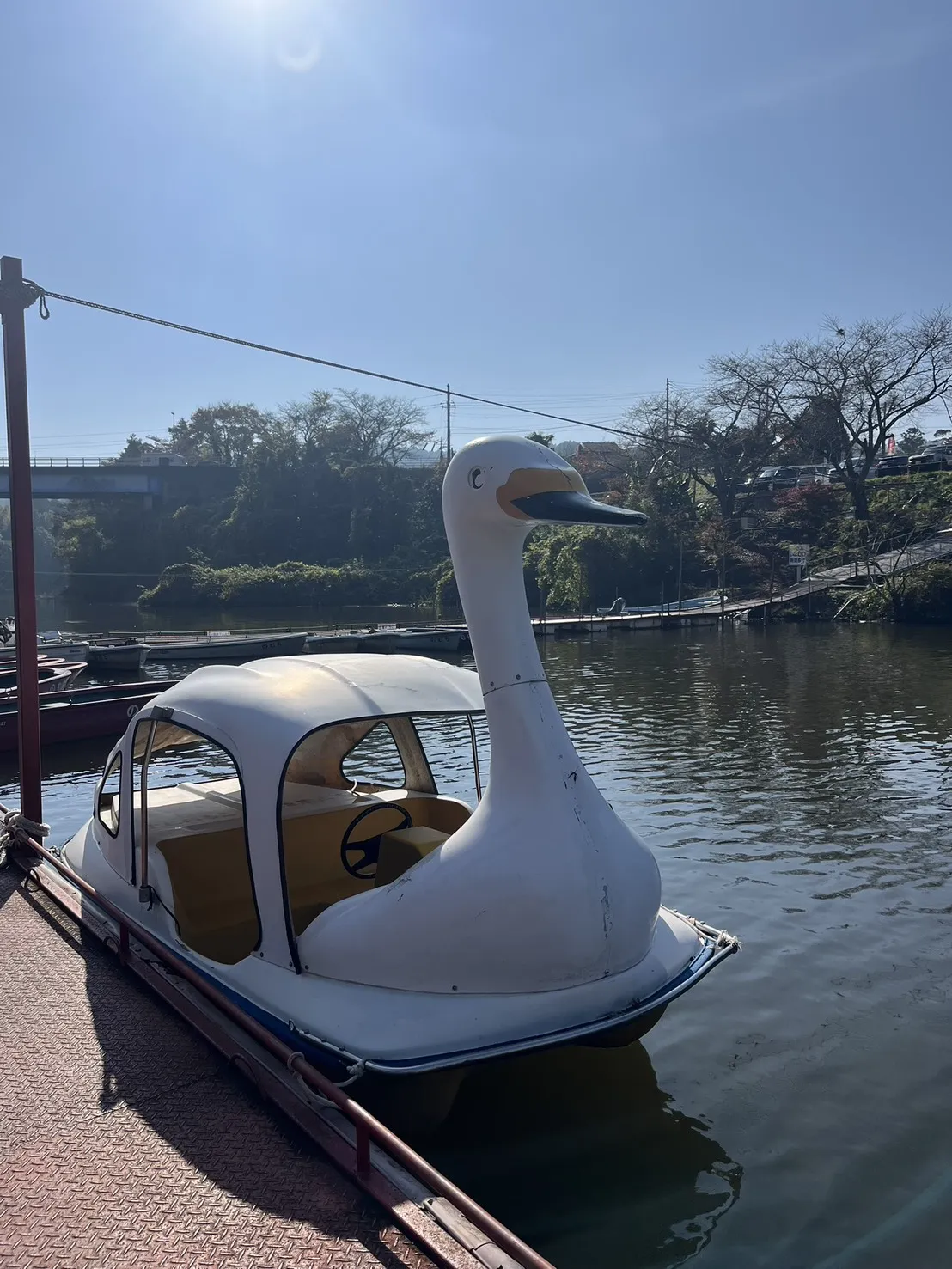 観光・遊覧ボート