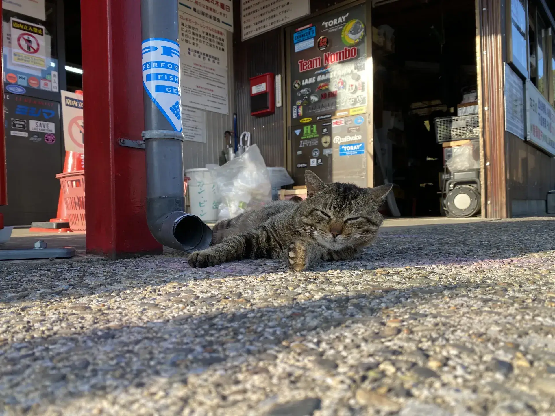 バスフィッシング