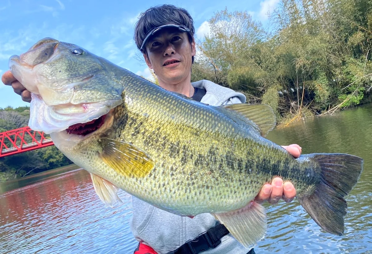 ビッグバス釣果 13